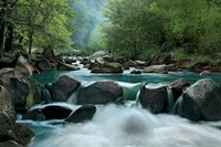 Secret Passage Fine Art Print