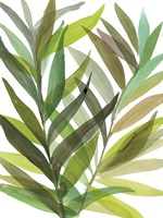 Tropical Greens I Fine Art Print