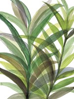 Tropical Greens II Framed Print