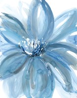 Water Petals Fine Art Print