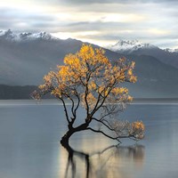 Undisturbed (detail) Fine Art Print