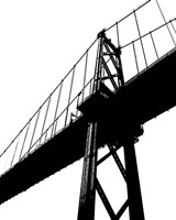 In Suspension I Fine Art Print