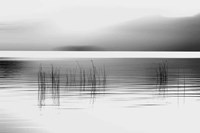 Tranquil Dawn Fine Art Print