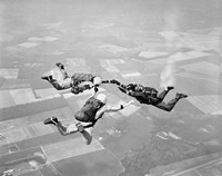 Three Men Holding Hands Sky Diving Fine Art Print