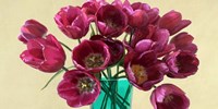 Red Tulips in a Glass Vase (detail) Fine Art Print