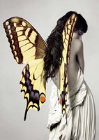 Winged Beauty #3 Fine Art Print