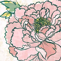 Camilles Peony Pink Fine Art Print