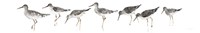 Sandpipers Panel Gray Fine Art Print
