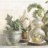 Greenhouse Orchids on Shiplap II Framed Print