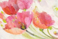 Poppies in the Breeze Fine Art Print