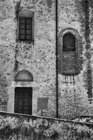 Passing By Fine Art Print