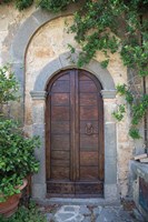 Venice Doorway Fine Art Print