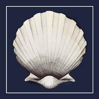 Coastal Shell II with Border Navy Fine Art Print