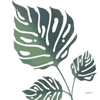 Monstera IV White Fine Art Print