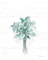 Farmhouse Cotton VI No Words Fine Art Print