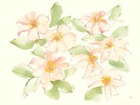 Creme Clematis Fine Art Print