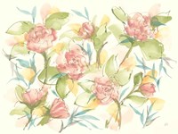 Blush Camellias Fine Art Print