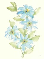 Clematis Bouquet II Fine Art Print