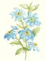 Clematis Bouquet I Fine Art Print