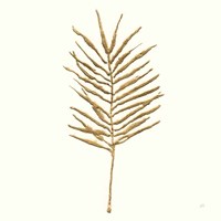 Gilded Palm VI Fine Art Print