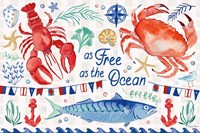 Maritime Delight I Fine Art Print