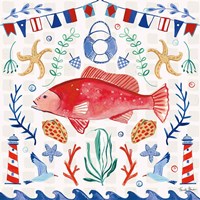 Maritime Delight V Framed Print