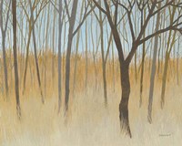 Misty Woods Fine Art Print
