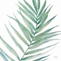 Tropical Blush IX BG Fine Art Print