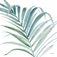 Tropical Blush V BG Fine Art Print