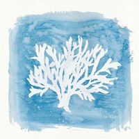 Water Coral Cove VI Fine Art Print