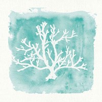 Water Coral Cove V Fine Art Print