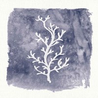 Water Coral Cove IV Fine Art Print