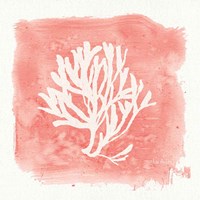 Water Coral Cove III Fine Art Print