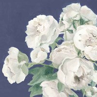 Peonies on Blue Indigo Fine Art Print