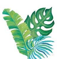 Coconut Palm VII Framed Print