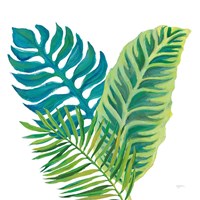 Coconut Palm VI Framed Print