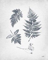 Walk in the Woods II Fine Art Print