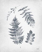 Walk in the Woods I Fine Art Print