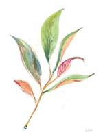 Washy Leaves II Framed Print