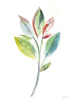 Washy Leaves I Framed Print