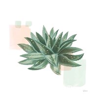Desert Color Succulent II Mint Fine Art Print