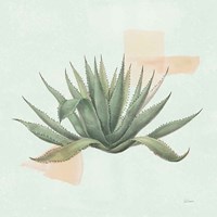 Desert Color Succulent I Mint Fine Art Print