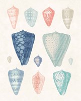 Colorful Shell Assortment II Coral Cove Fine Art Print