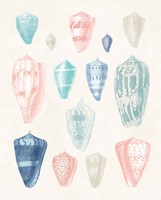Colorful Shell Assortment I Coral Cove Fine Art Print