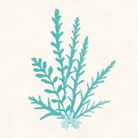 Pacific Sea Mosses III Aqua Fine Art Print