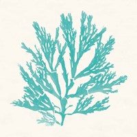 Pacific Sea Mosses I Aqua Fine Art Print