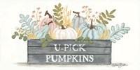 U-Pick Pumpkins Fine Art Print