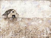 Cotton Farms Fine Art Print