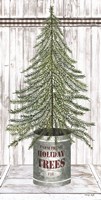 Galvanized Pot Fir Framed Print