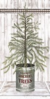 Galvanized Pot Pine Framed Print